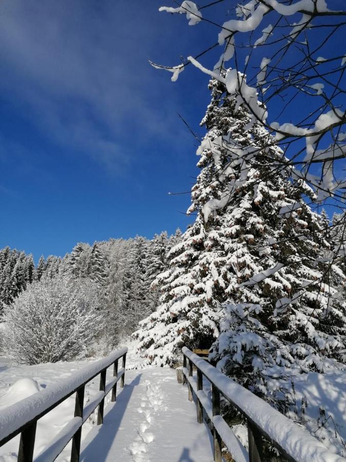 Ferienwohnung Familie Pichler Neumarkt in Steiermark ภายนอก รูปภาพ