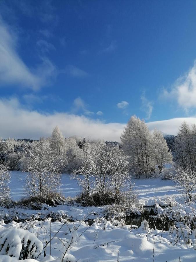 Ferienwohnung Familie Pichler Neumarkt in Steiermark ภายนอก รูปภาพ