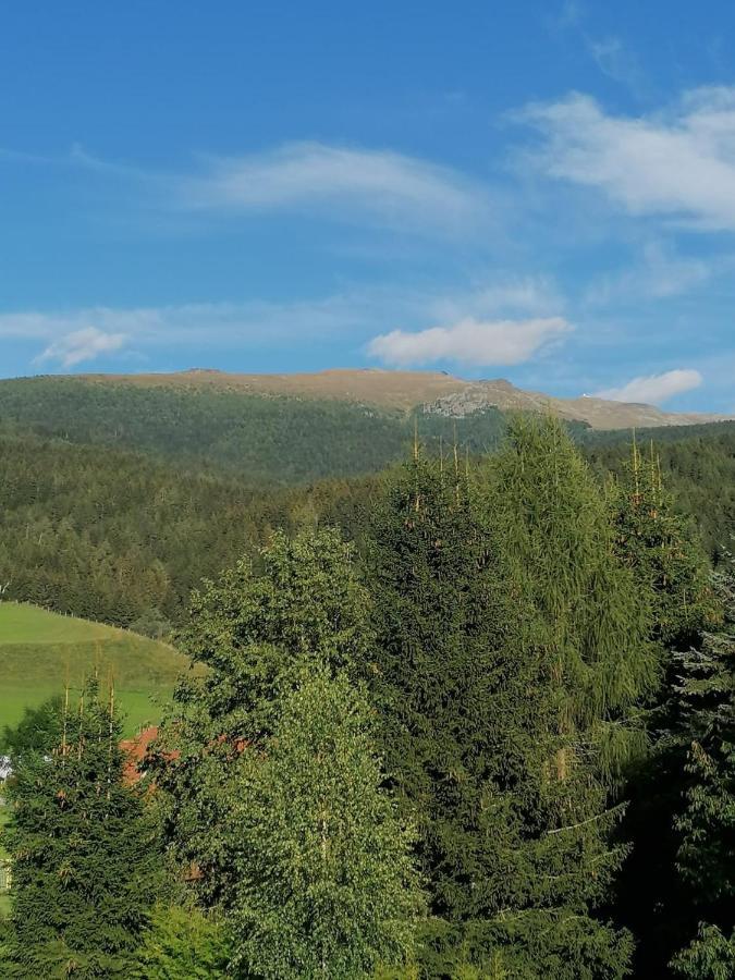 Ferienwohnung Familie Pichler Neumarkt in Steiermark ภายนอก รูปภาพ