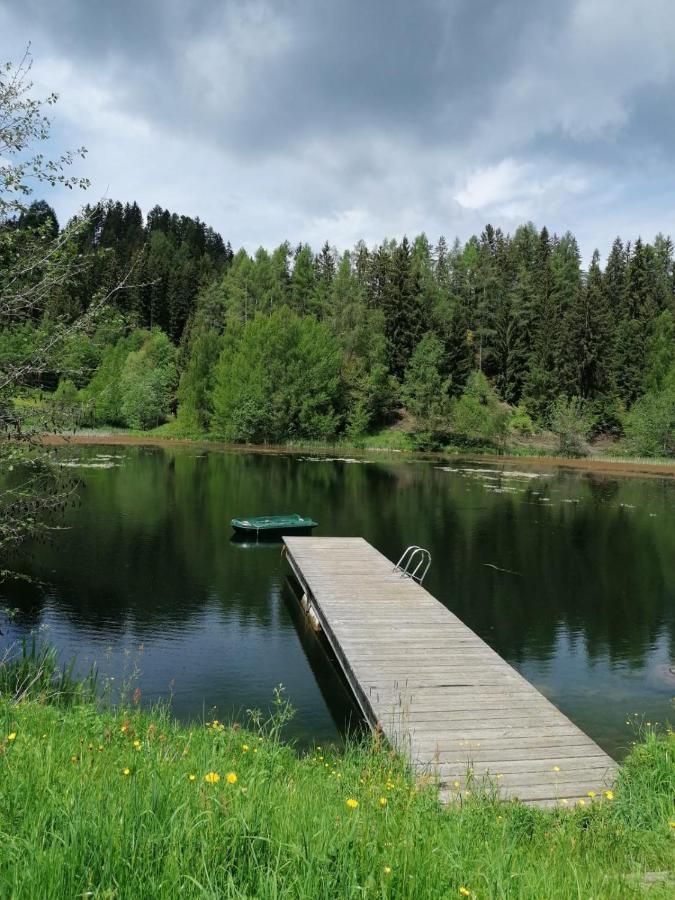 Ferienwohnung Familie Pichler Neumarkt in Steiermark ภายนอก รูปภาพ