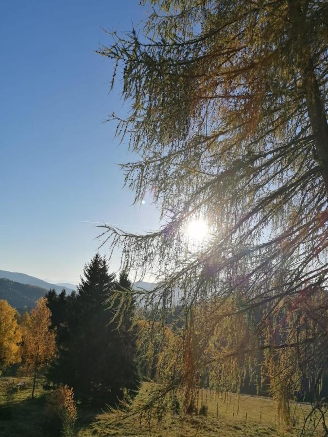 Ferienwohnung Familie Pichler Neumarkt in Steiermark ภายนอก รูปภาพ