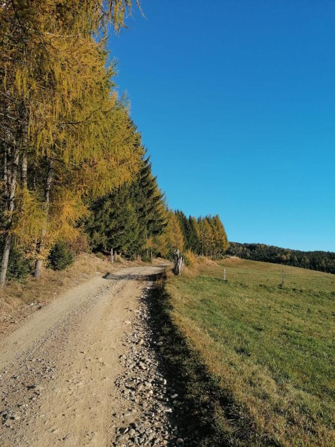 Ferienwohnung Familie Pichler Neumarkt in Steiermark ภายนอก รูปภาพ